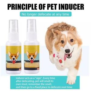 Natural Potty Training Spary for Dog & Cat Buy 1 Get 1 Free