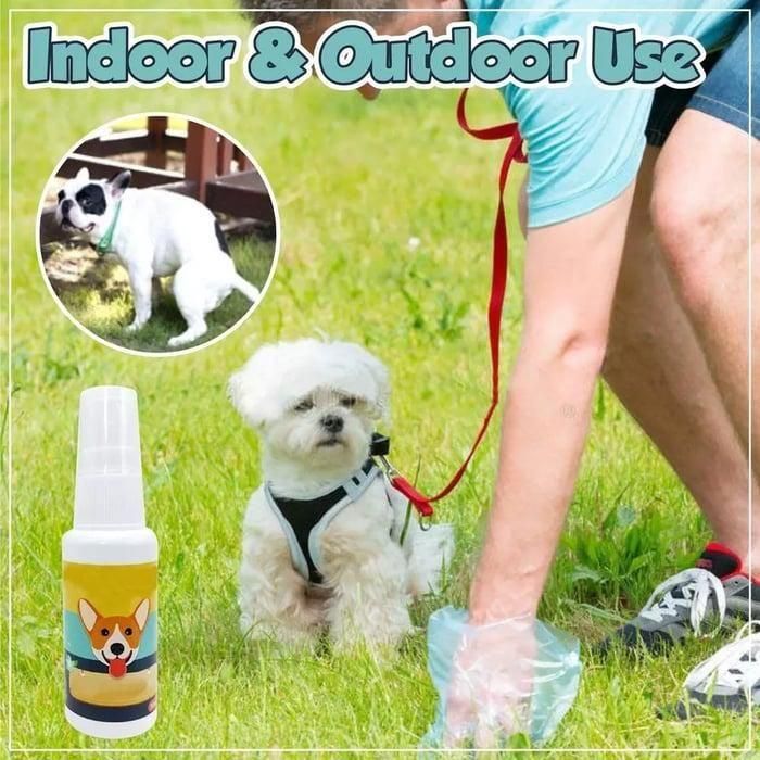 Natural Potty Training Spary for Dog & Cat Buy 1 Get 1 Free